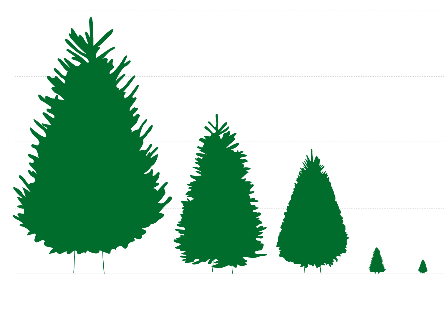 Oh, Christmas tree: The economics of the US holiday tree industry