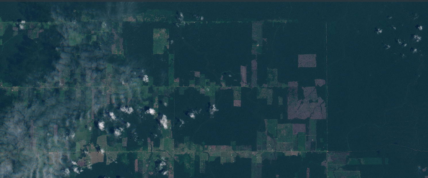 amazon rainforest deforestation satellite